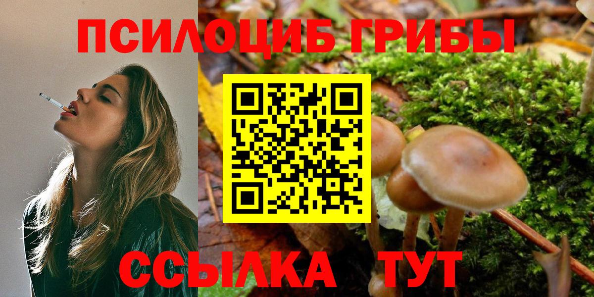 Псилоцибиновые грибы прущие грибы  Псилоцибиновые грибы Psilocybine cubensis  Тольятти  Вход с VPN 